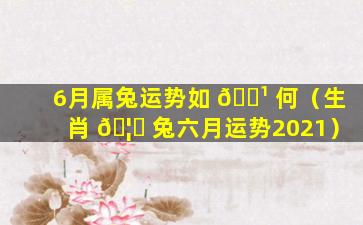 6月属兔运势如 🌹 何（生肖 🦍 兔六月运势2021）
